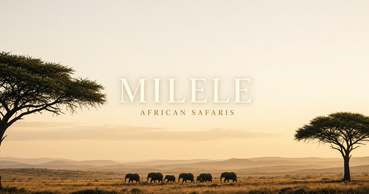 Screenshot of Milele African Safaris